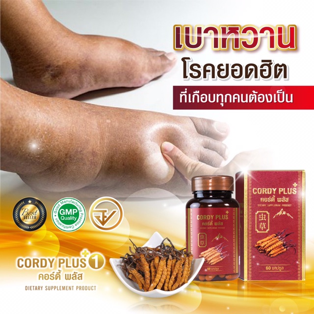 ถั่งเช่าแท้-ส่งฟรี-ถั่งเช่าทิเบตแท้-cordy-plus1-1แถม1