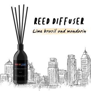 【ซื้อ L แถม S】 ก้านไม้หอม กลิ่น Lime Brasil &amp; Mandarin ก้านไม้หอมอโรม่า หอมปรับอากาศ น้ำหอมปรับอากาศ   Reed Diffuser