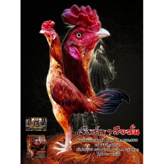 ภาพหน้าปกสินค้าไข่เชื้อไก่ชนสายเลือดเยียร์เขาลือลั่นแชมป์15,400,000บาทสายเลือด📌ส.มีสุวรรณแท้100%Supervip ที่เกี่ยวข้อง