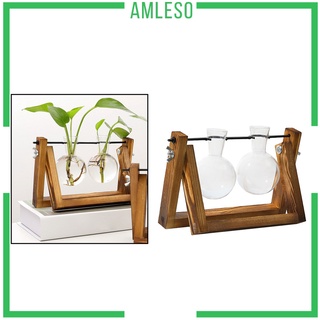 [Amleso] แจกันไฮโดรโปนิกหลอดไฟ Terrarium สําหรับตกแต่งบ้าน Style1