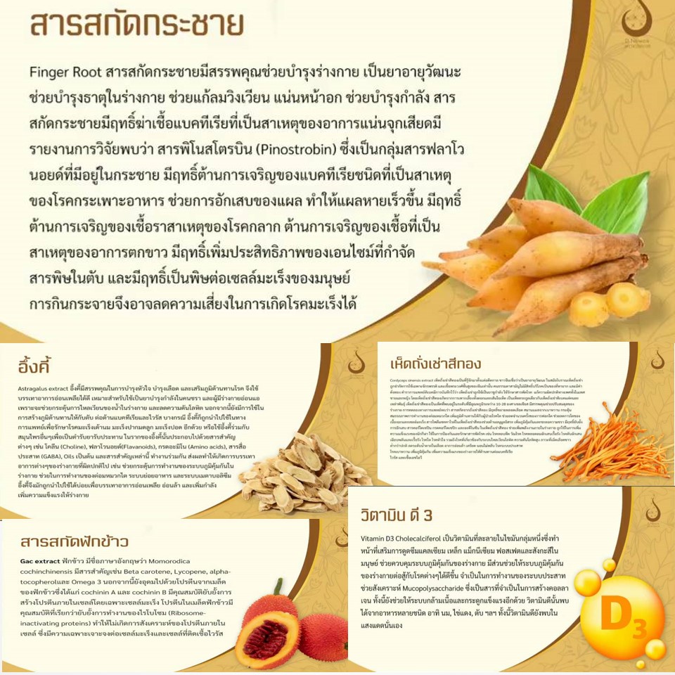 สารสกัดจากกระชายขาว-เสริมสร้างภูมิคุ้มกันให้แข็งแรง-ช่วยป้องกันและต่อต้านแบคทีเรียและไวรัส-ผลิตภัณฑ์อาหารเสริม-ดีไซน์