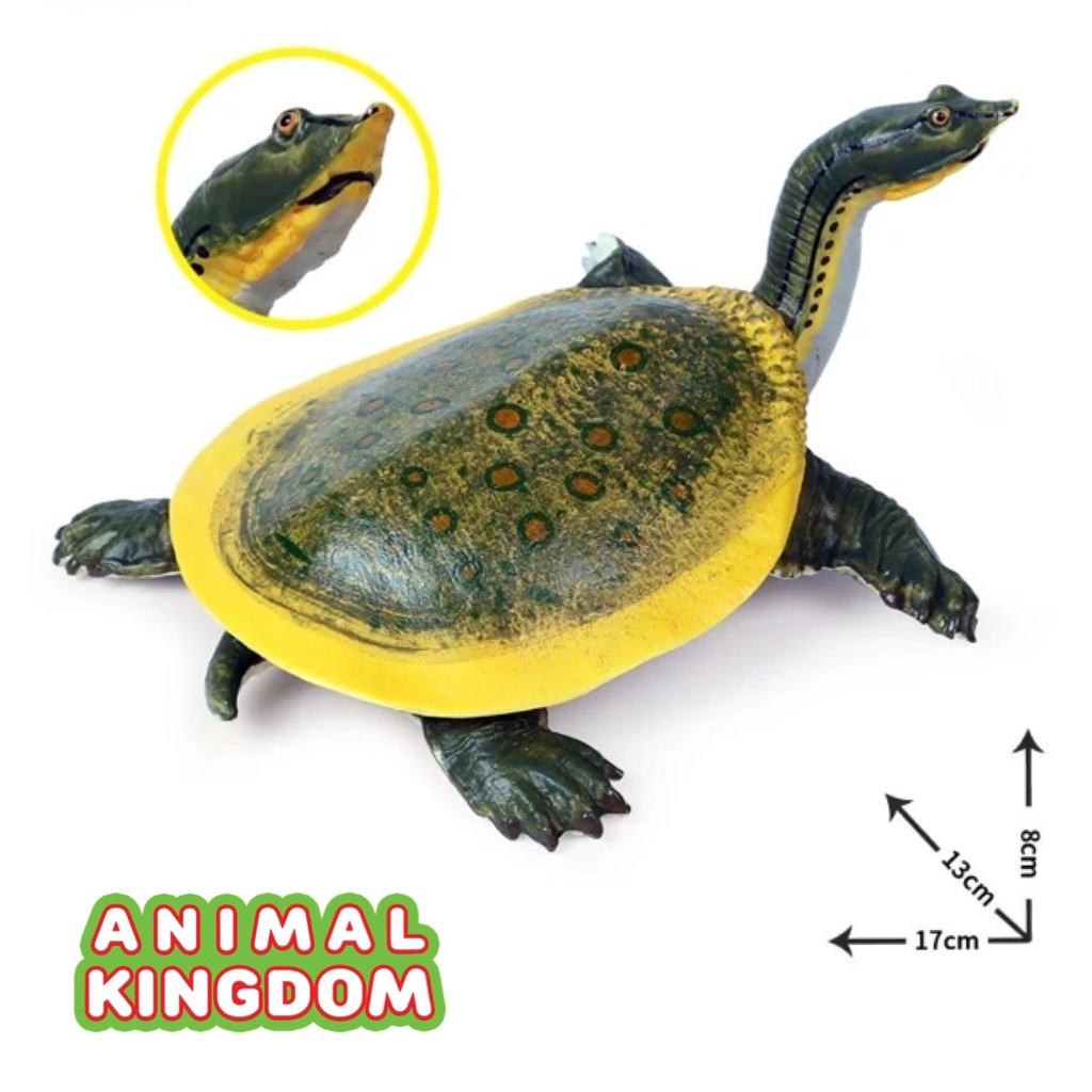 animal-kingdom-โมเดลสัตว์-ตะพาบน้ำ-ขนาด-17-00-cm-จากสงขลา