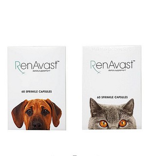 สินค้า Renavast อาหารเสริมโปรตีน บำรุงไต บรรจุ 60 แคปซูล