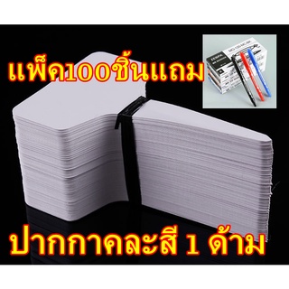 ภาพหน้าปกสินค้าป้ายชื่อต้นไม้พลาสติก แพ็คละ20ชิ้น และ100ชิ้น แบบสี่เหลี่ยมสีขาว 6x10cm แถมปากกาคละสี1ด้าม (พร้อมส่ง) ที่เกี่ยวข้อง