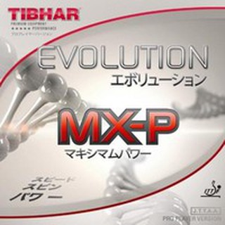 ภาพหน้าปกสินค้ายางปิงปอง Tibhar evolution MXP ฟองน้ำMAX ที่เกี่ยวข้อง