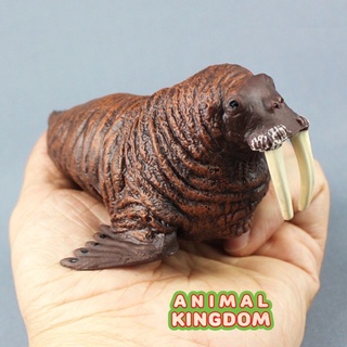 Animal Kingdom - โมเดลสัตว์ วอลรัส แมวน้ำ ขนาด 12.50 CM (จากสงขลา)