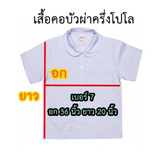 xiao-ร้านแฟชั่น-เสื้อนักเรียนหญิงคอบัวผ่าครึ่ง-เสื้อคอบัว-เสื้อนักเรียนหญิง-ปกคอบัวใหม่