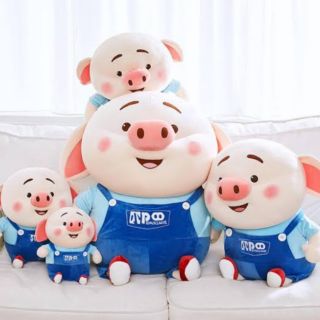 เสี่ยวจูมาแล้ว 🐷 เสี่ยวจูของเจ้าหมูข่าย 😘