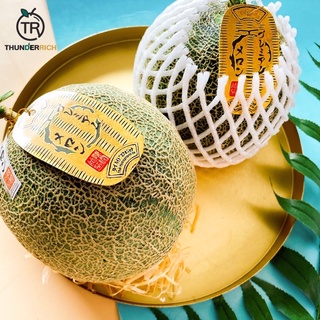 ภาพหน้าปกสินค้าสินค้าเข้าใหม่‼️Japan melon 🍈🇯🇵 เมล่อนสายพันธุ์ญี่ปุ่นปลูกไทย🚚 ที่เกี่ยวข้อง