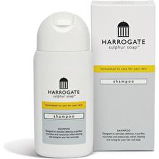 (ล็อตใหม่ EXP 03/2026) Harrogate Shampoo 150 ml แชมพูฮาโรเกต บรรเทาอาการคันหนังศรีษะ รังแค ผมร่วง สะเก็ดเงิน