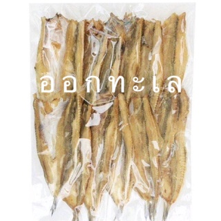 สินค้า ปลาแห้ง 🐟 ปลาช่อนทะเลใหญ่ ไม่จืด ไม่เค็ม