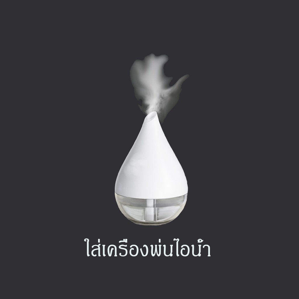 น้ำมันหอมระเหย-essentialoil-น้ำมันกำยาน-aromatherapy-ก้านไม้หอม-ดอกไม้หอม