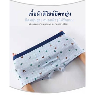 ภาพขนาดย่อของภาพหน้าปกสินค้ากางเกงในเด็กผู้ชาย เด็กโต/เด็กเล็ก/Boy/Children/underwear ผ้าฝ้ายแท้100% 2-13ขวบ/บ๊อกเซอร์เด็กชายระบายอากาศ(4ตัว/แพ็ค) จากร้าน kidclothes.th บน Shopee