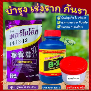 เซ็ตปุ๋ยบำรุง+เร่งราก+กันรา🍂 ปุ๋ยเทอร์โมโค้ท+น้ำยาเร่งรากB1+ +แคปแทนกันรา ปุ๋ยบอนสี ปุ๋ยกุหลาบ ปุ๋ยแคตตัส พืชทุกชนิด