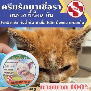 ภาพขนาดย่อของสินค้าส่งด่วน ครีมรักษาขี้เรื้อน (สูตรแมว) รักษาโรคผิวหนัง โรคเชื้อรา ผื่นแดง คัน ขนร่วง หายสนิท 30กรัม