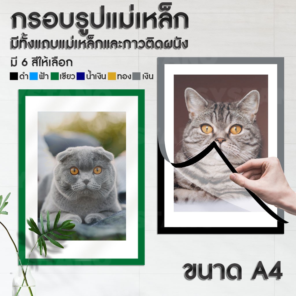 ภาพหน้าปกสินค้าSystano กรอบรูปแม่เหล็ก กรอบโชว์ป้ายประกาศติดผนัง ขนาด A4 แบบมีแถบแม่เหล็กสำหรับติดโชว์งาน ใบประกาศ เอกสาร NO.Y374