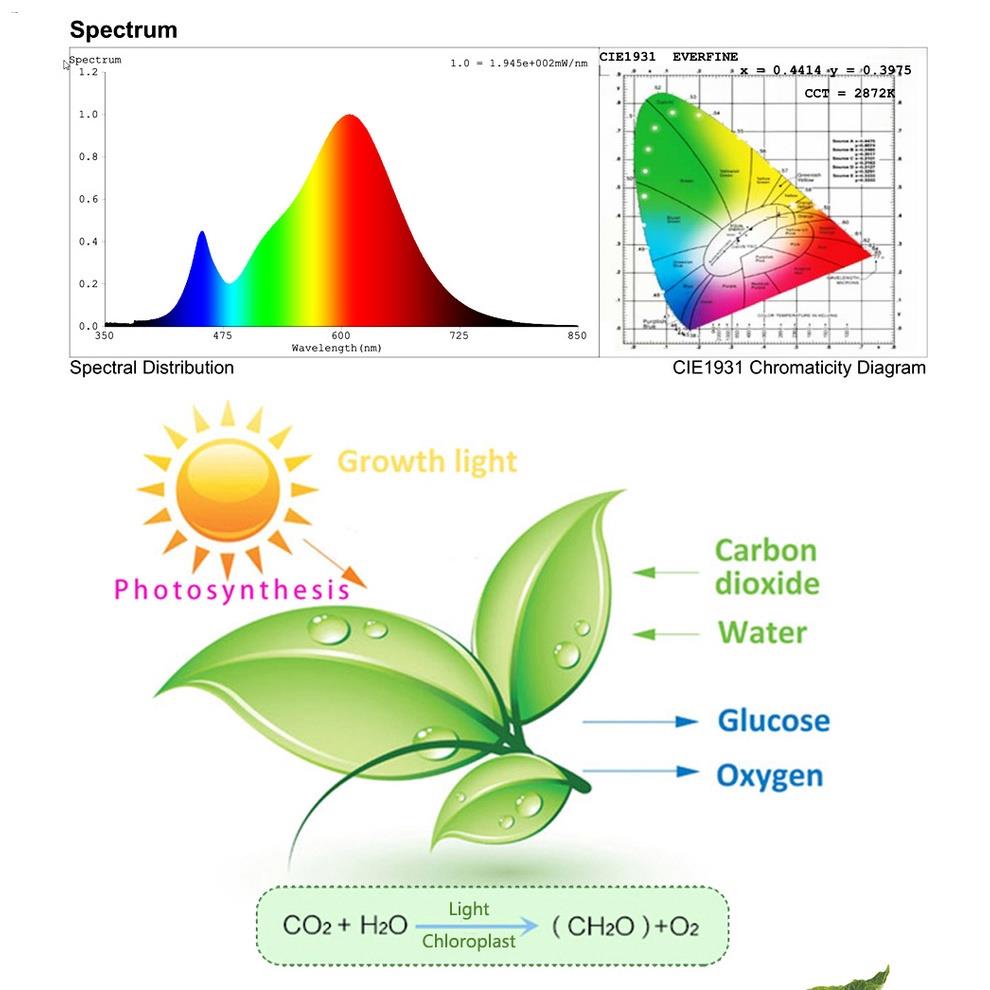 จัดส่งทันที-220v-full-spectrum-led-grow-light-50w-100w-ไฟปลุกต้นไม้-ไฟช่วยต้นไม้ตัวเร็ว-มีสวิตช์ปิดเปิด-สายไฟยาว1-5โมตร