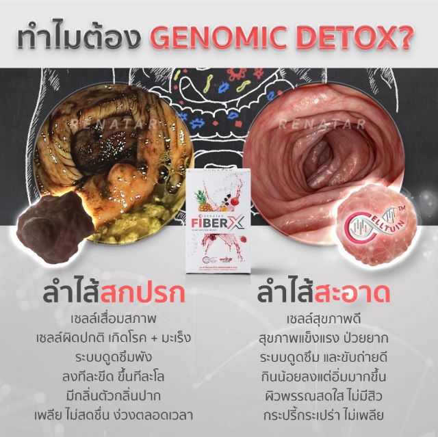 ส่งให้ฟรี-ลดหุ่น-ลดสัดส่วน-พุงยุบ-ขับถ่ายคล่อง