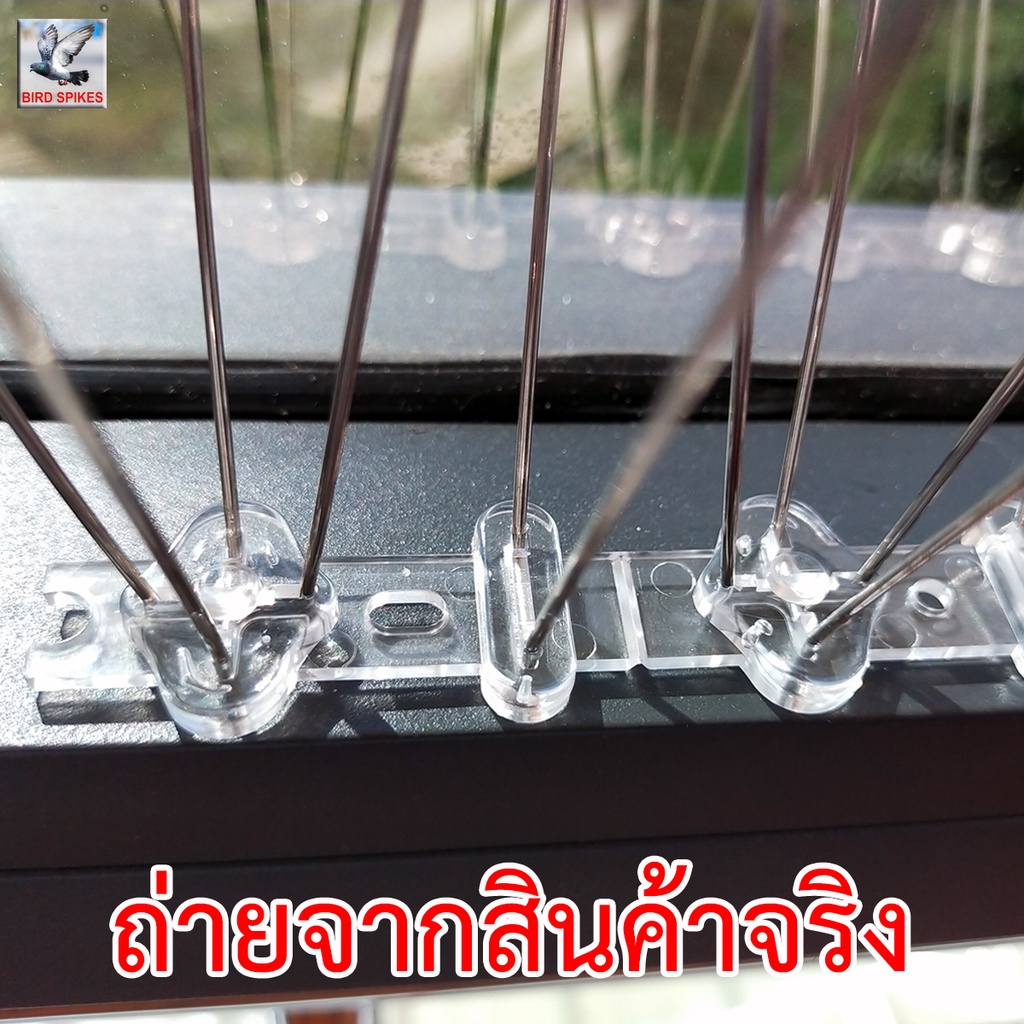 จัดโปร-11-11-cashback-หนามกันนก-หนามไล่นก-รุ่นพิเศษ-จัดเต็ม-เข็มเต็มทุกช่อง-64-เส้น