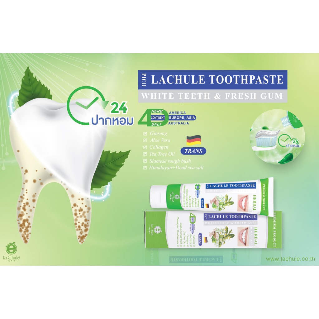 ยาสีฟันสมุนไพร-ผสมเกลือฮิมาลายัน-ยาสีฟันลาชูเล่-herbal-himalayan-lachule-toothpaste