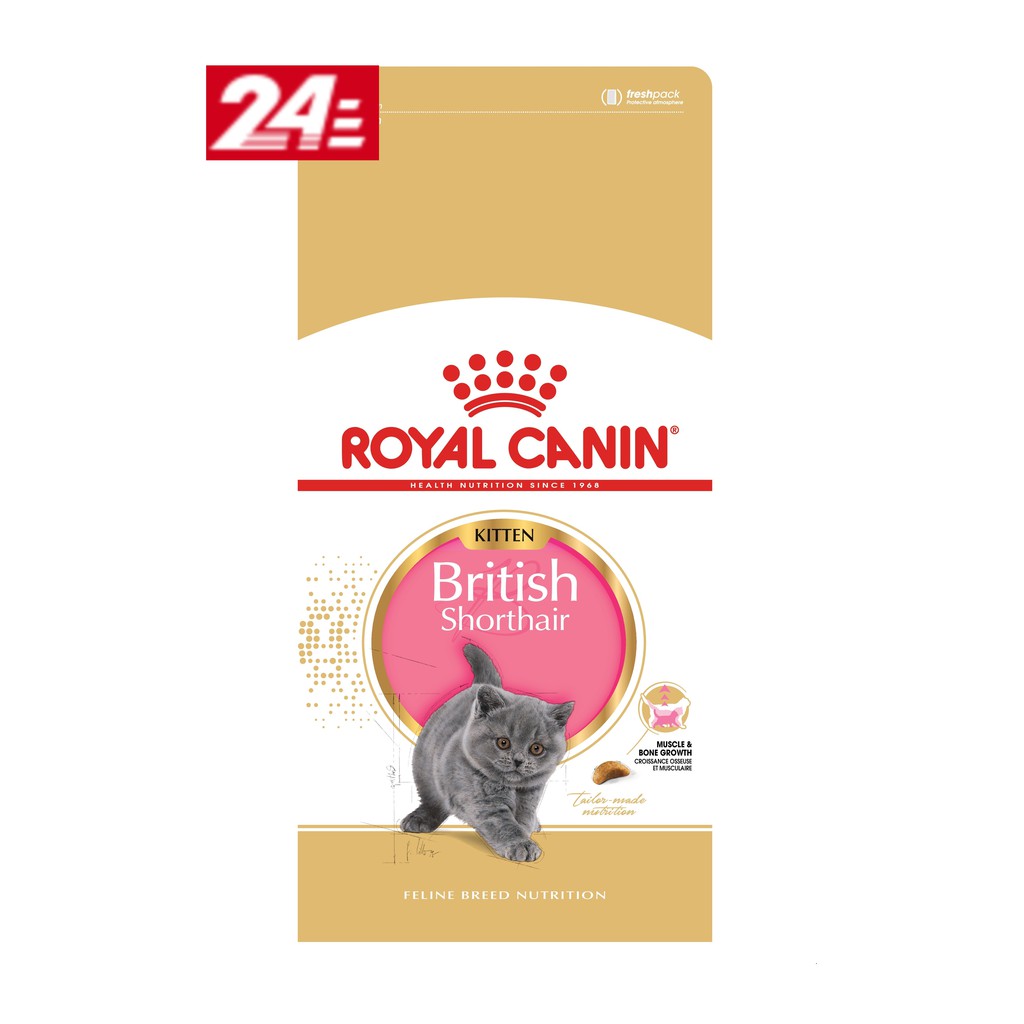 แบ่งขาย-royal-canin-1-กิโลกรัม-kitten-british-shorthair-บริติช-ช็อตแฮร์-แมวเด็ก