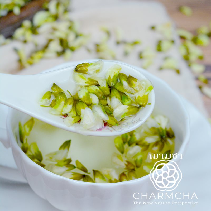 ชาดอกกวาวเครือขาว-white-kudzu-flower-tea-หรือดอกคุดซุขาว-กวาวเครือขาว-ชาดอกไม้-ฌามชา-charmcha