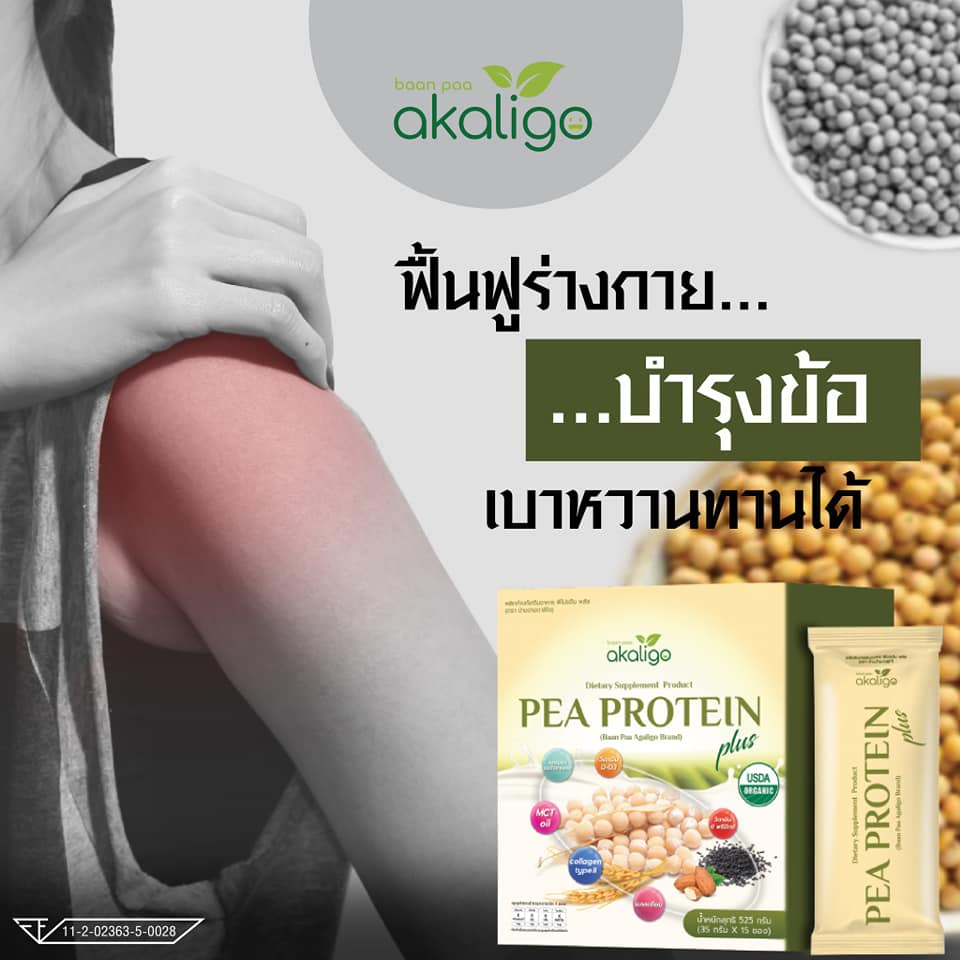 pea-protein-โปรตีนถั่วลันเตาสีทอง-usda-organic-โปรตีนจากพืช-เจ-มังสวิรัติ-ทดแทนมื้ออาหาร-คุมน้ำหนัก-คีโต-วีแกน-โรคไต