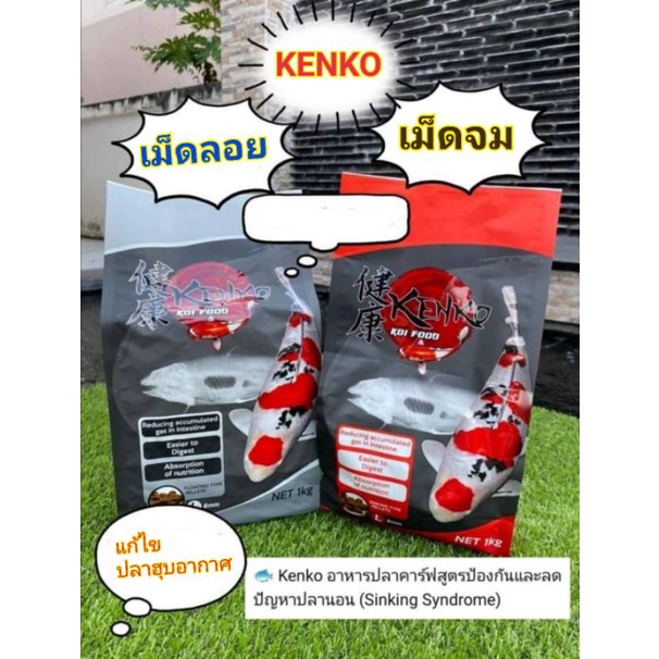 เคนโกะ-kenko-ป้องกันปลา-ซิ้ง-นอนก้น-บ่อ-kenko-ถุง-1-kg-เม็ดลอย-หรือเม็ดจม