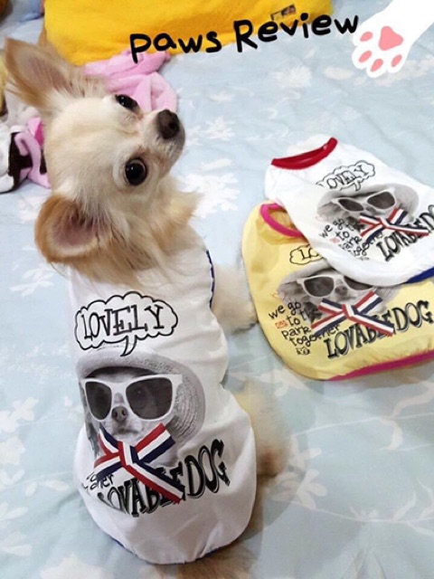 เสื้อสำหรับสัตว์เลี้ยง-รุ่น-the-chihuahua-สินค้าพร้อมส่ง-จำนวนจำกัด-ราคาพิเศษ