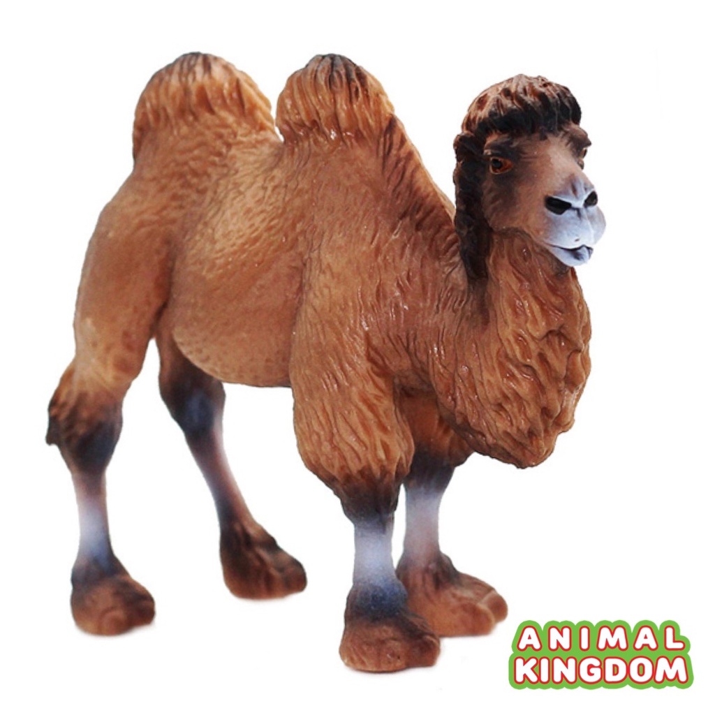 animal-kingdom-โมเดลสัตว์-อูฐ-สองหนอก-น้ำตาล-ขนาด-12-00-cm-จากหาดใหญ่