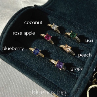 summer fruit earring 6 color🍒🍇🥝🥥🫐🍓 - Bluebox.jpg