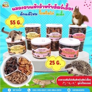 (BP Pets) ขนมหนูแฮมเตอร์ ขนมชูก้าร์ กระรอก แมลงอบแห้ง อาหารเสริมสำหรับสัตว์เล็ก khunnoo 2 ขนาด