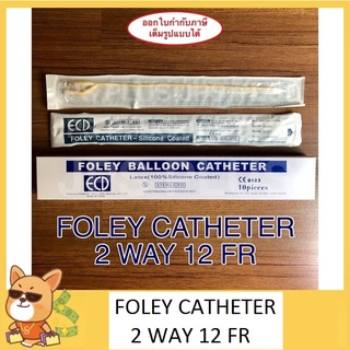 ภาพหน้าปกสินค้าFoley Catheter 2 way เบอร์ 12 สายสวนปัสสาวะ 2 ทาง ที่เกี่ยวข้อง