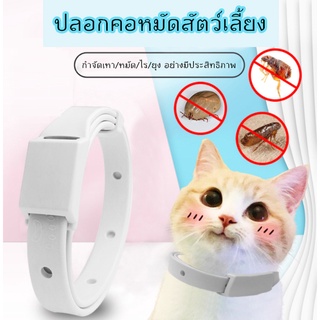 ราคาและรีวิวAL-094 ปลอกคอกำจัดเห็บ หมัด สำหรับ หมา สุนัข แมว กันน้ำได้ ปลอกคอกันเห็บ ปลอกคอกันหมัด ใช้ได้นาน8เดือน 🔥 พร้อมส่ง 🔥