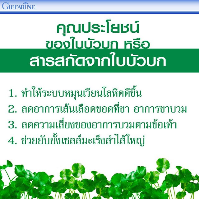 โกตูล่า-ซี-อี-กิฟฟารีน-giffarine-gotula-c-e-ใบบัวบก-อาหารเสริม-สารสกัดจากใบบัวบก-วิตามินซีแ-วิตามินอี