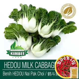 เมล็ดชอยเบบี้นายปากคาเมรอนมิลค์ Vegetable Vegetable Vegetable Vegetable ผักสดจากคาเมรอน100Pcs Biji Benih Heduo Pak seeds