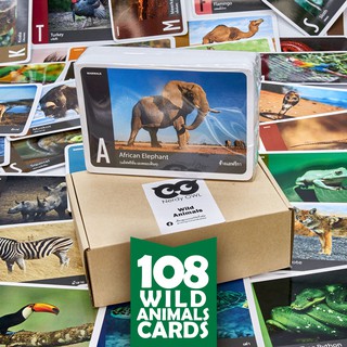 แฟลชการ์ด บัตรคำ การ์ดคำศัพท์ Flash Cards [สัตว์ป่า Wild Animals] จำนวนมากที่สุดถึง 108 ใบ ของเล่นเสริมพัฒนาการ