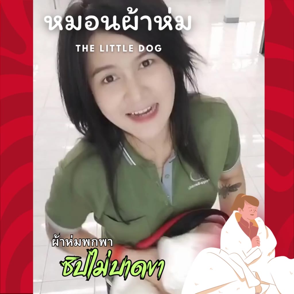 the-little-dog-หมอนผ้าห่ม-blanket-pillow-แสนนุ่มนิ่ม-ลื่นสบาย-ผ้าโพลีเอสเตอร์-เวลลัวร์-velour-คุณภาพ-ผลิตในประเทศไทย