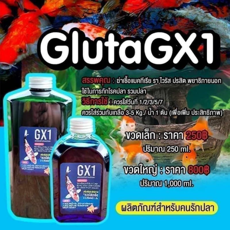 gx1-ยาสำหรับฆ่าเชื้อแบคทีเรีย-ใช้รักษาปลาป่วย-ใช้ในการกักโรคปลา-ใช้ในการรวมปลา-ขนาด-250-ml-และ-1000-ml