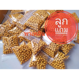 สินค้า สินค้าสมนาคุณลูกค้า ลูกพลาสติก หรือ เซรามิก ประมาณ 200-300 นัด/ถุง