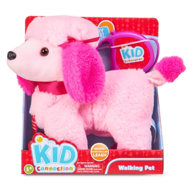 kid-connection-walking-pet-poodle