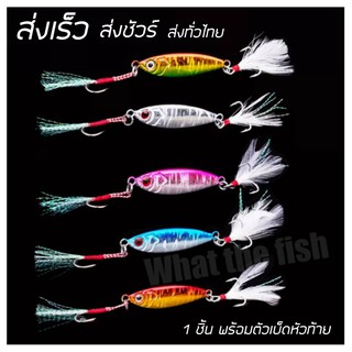 ไมโครจิ๊ก10g 15g 20g 1ชิ้น เหยื่อไมโครจิ๊ก Micro jig เหยื่อตกปลาทะเล ไมโคจิ๊ก เหยื่อจิ๊ก ตกปลาเก๋า เหยื่อตกปลากุเลา R5