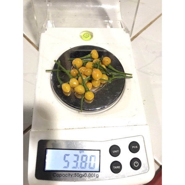 aji-charapita-พริกแพงที่สุดในโลก-กิโลละ900-000บาท-เมล็ดพันธ์opจำนวน20เมล็ด