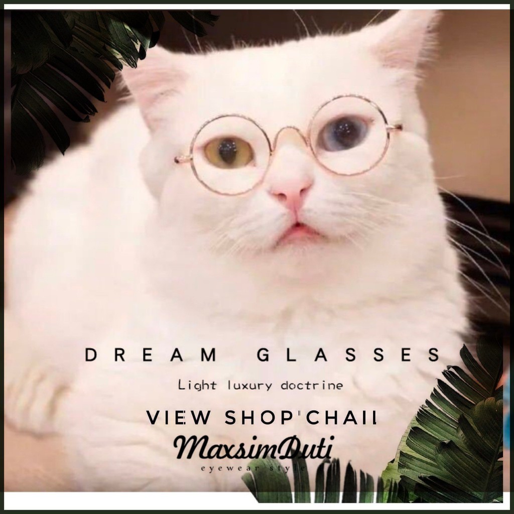 มีเก็บปลายทาง-รุ่นbb13-แว่นตาสัตว์เลี้ยง-แว่นตาสุนัข-แว่นตาแมว-ทาสแมว-ทาสสุนัข