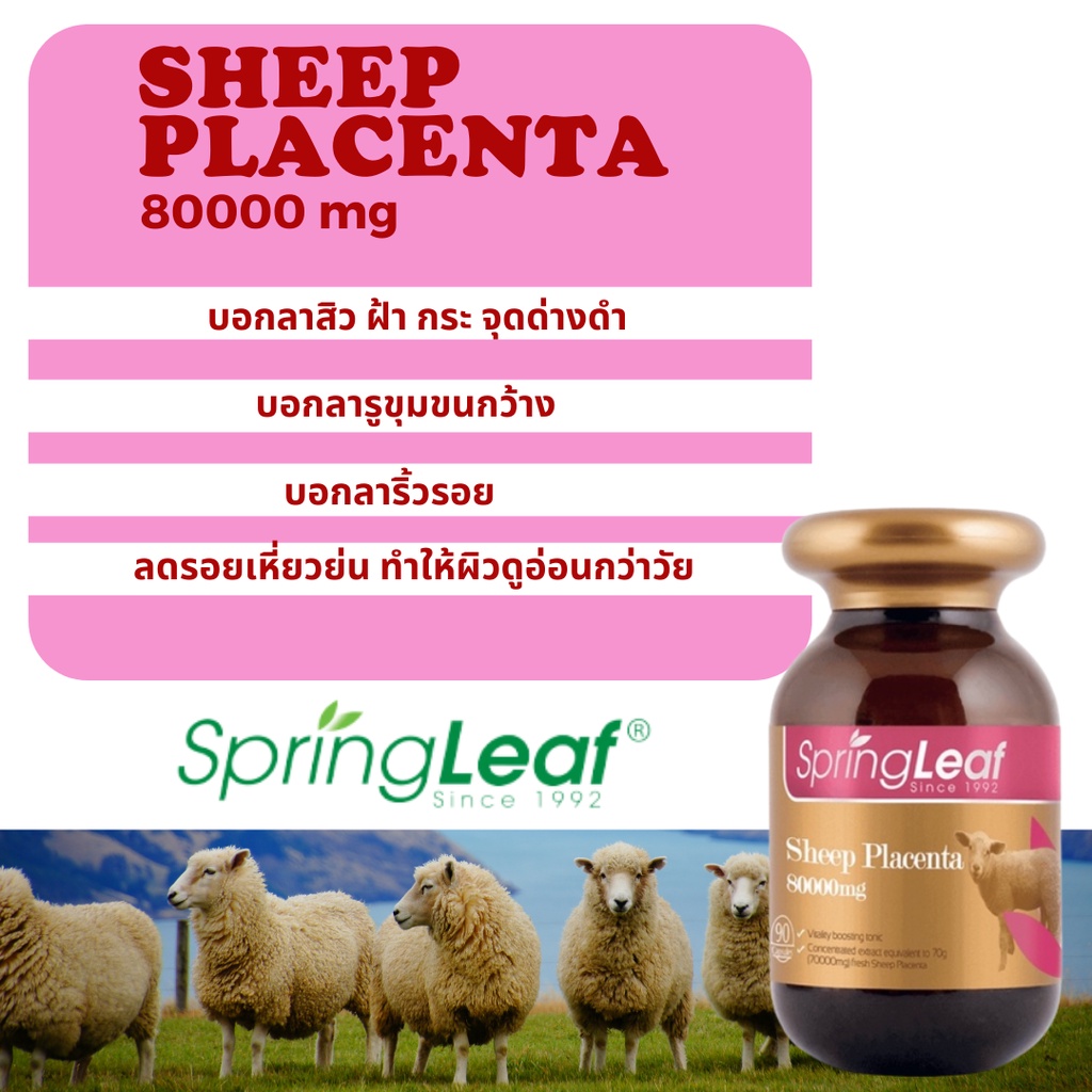 รกแกะ-พร้อมส่ง-springleaf-sheep-placenta-80000mg-90capsule-รกแกะตัวท็อป-exp-05-12-2025