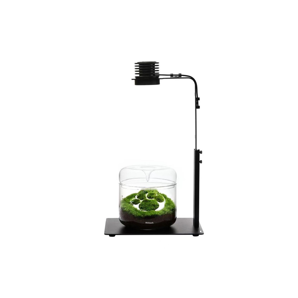 bioloark-my-series-drip-jar-แบรนด์ดังผู้ชำนาญด้านโหล-terrarium-จัดสวนในขวดแก้ว-ขวดโดมแก้ว-สวนขวด-สวนจิ๋ว-เทอทาเรียม-ตู้