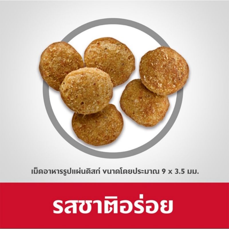 hills-science-diet-อาหารแมว-อายุ-1-6-ปี-สูตรไขมันต่ำสำหรับแมวทำหมันหรือลดน้ำหนัก-ขนาด-6-kg