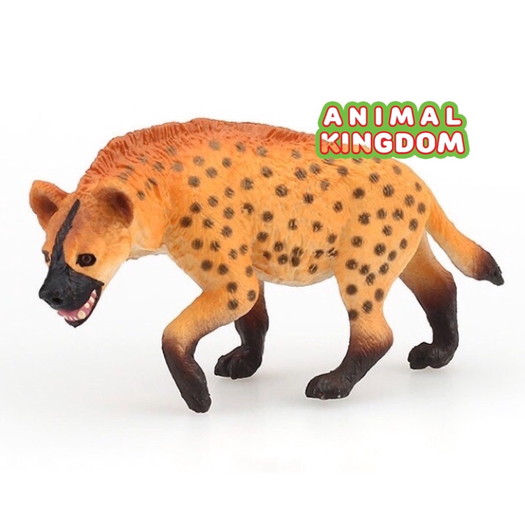 animal-kingdom-โมเดลสัตว์-หมาป่า-ไฮยีนา-ส้ม-ขนาด-11-00-cm-จากหาดใหญ่