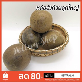 หล่อฮังก้วย Monk Fruit​ คัดลูก​ สำหรับต้มน้ำสมุนไพร