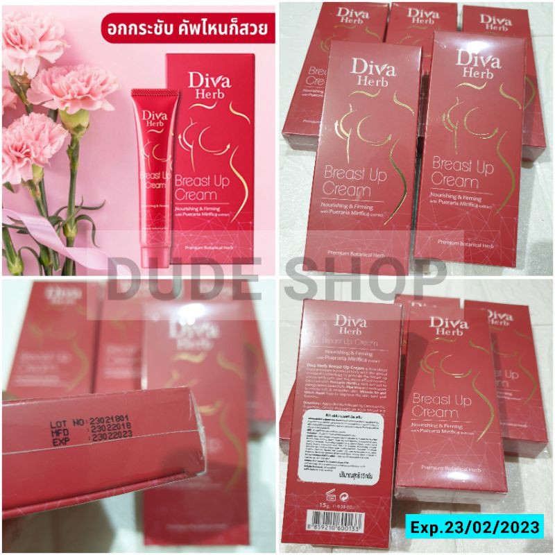 ครีมบำรุงหน้าอกกระชับ-diva-herb-breast-up-cream-15g-ครีมกระชับทรวงอก